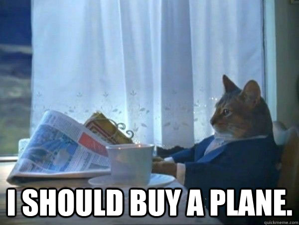  I should buy a plane.  morning realization newspaper cat meme