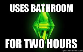 Uses bathroom for two hours  Sims