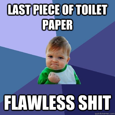 LAST PIECE OF TOILET PAPER FLAWLESS SHIT  Success Kid