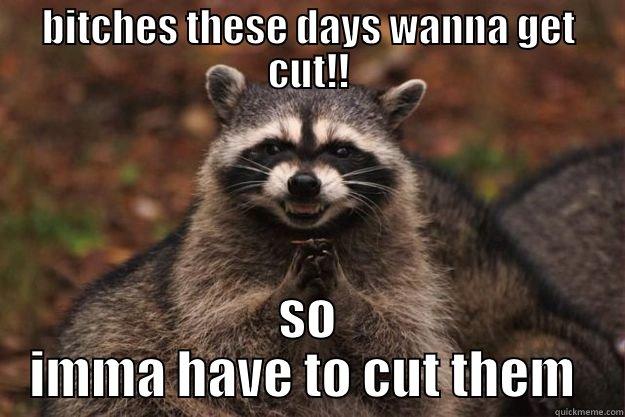 BITCHES THESE DAYS WANNA GET CUT!! SO IMMA HAVE TO CUT THEM  Evil Plotting Raccoon