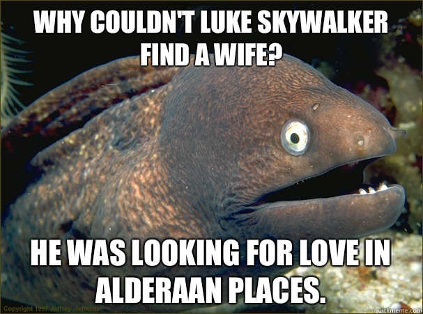 Why couldn't Luke Skywalker find a wife? He was looking for love in Alderaan places.  Bad Joke Eel