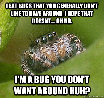 I eat bugs that you generally don't like to have around, i hope that doesnt.... oh no. I'm a bug you don't want around huh?  Misunderstood Spider