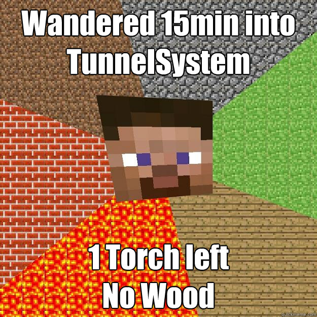 Wandered 15min into TunnelSystem 1 Torch left
No Wood  Minecraft