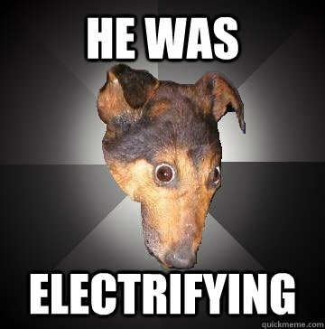 HE WAS ELECTRIFYING  Depression Dog