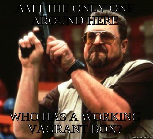 AM I THE ONLY ONE AROUND HERE WHO HAS A WORKING VAGRANT BOX? Am I The Only One Around Here