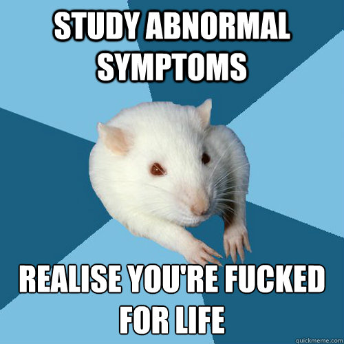 Study abnormal symptoms Realise you're fucked for life
  Psychology Major Rat