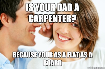 Is your dad a carpenter? Because your as a flat as a board  Bad Pick-up line Paul