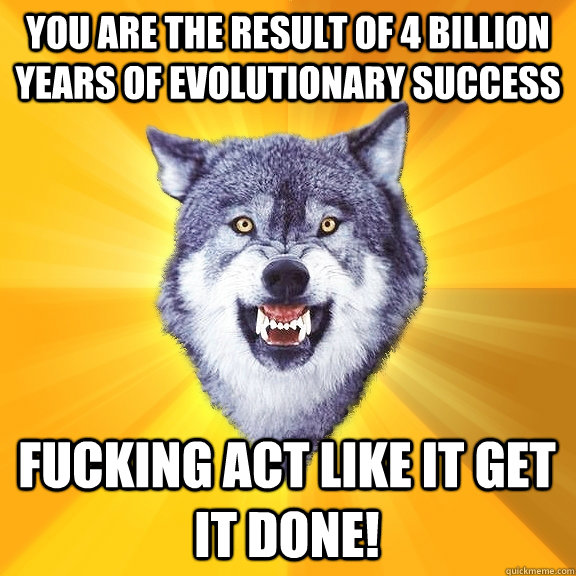 you are the result of 4 billion years of evolutionary success fucking act like it GET IT DONE!  Courage Wolf