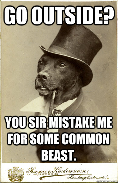 go outside? you sir mistake me for some common beast. - go outside? you sir mistake me for some common beast.  Old Money Dog