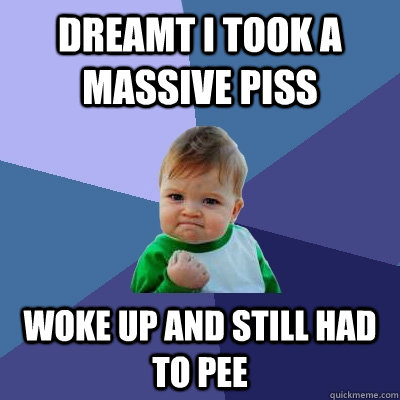 dreamt i took a massive piss woke up and still had to pee  Success Kid