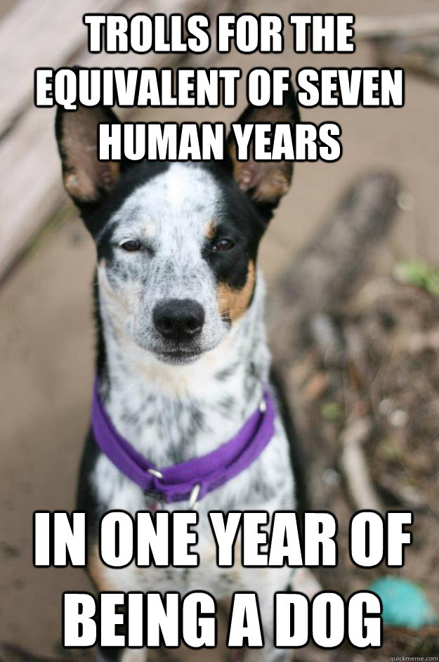 In one year of being a dog Trolls for the equivalent of seven human years  - In one year of being a dog Trolls for the equivalent of seven human years   Trollabell