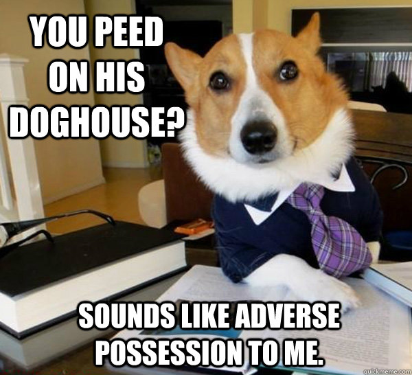 You peed on his doghouse? Sounds like Adverse Possession to me.  Lawyer Dog