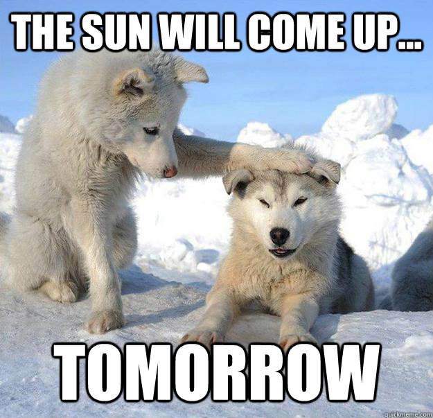 The sun will come up... Tomorrow  Caring Husky