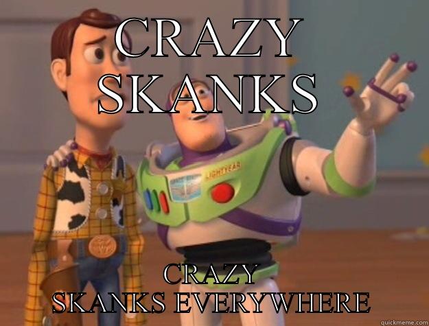 CRAZY SKANKS CRAZY SKANKS EVERYWHERE Toy Story