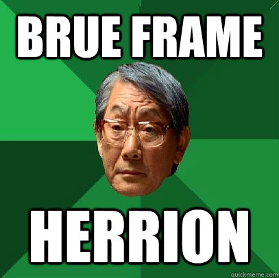 BRUE FRAME HERRION  High Expectations Asian Father