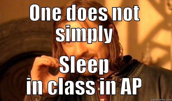 Helleee!!  - ONE DOES NOT SIMPLY SLEEP IN CLASS IN AP Boromir