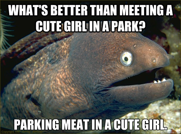 What's better than meeting a cute girl in a park? Parking meat in a cute girl.  Bad Joke Eel