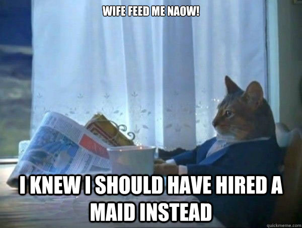 Wife feed me Naow! I knew i should have hired a  maid instead  morning realization newspaper cat meme