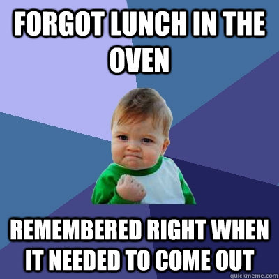 forgot lunch in the oven remembered right when it needed to come out - forgot lunch in the oven remembered right when it needed to come out  Success Kid