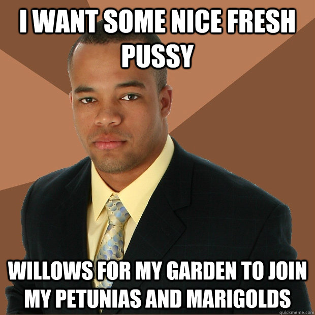 i want some nice fresh pussy willows for my garden to join my petunias and marigolds   Successful Black Man