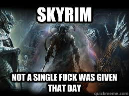 Skyrim Not a single fuck was given that day  Skyrim lol