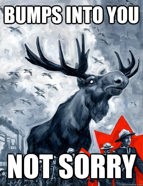 Bumps into you Not sorry  Vindictive Canadian Moose Overlord