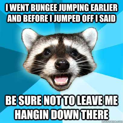 I went bungee jumping earlier and before i jumped off i said be sure not to leave me hangin down there - I went bungee jumping earlier and before i jumped off i said be sure not to leave me hangin down there  Lame Pun Coon