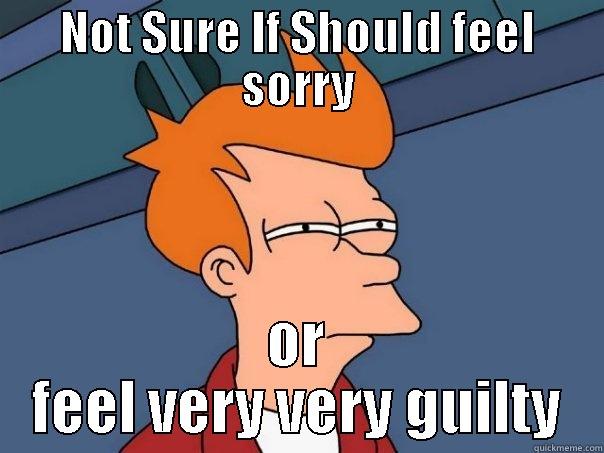 NOT SURE IF SHOULD FEEL SORRY OR FEEL VERY VERY GUILTY Futurama Fry