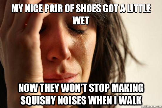 My Nice pair of shoes got a little wet Now they won't stop making squishy noises when I walk  First World Problems