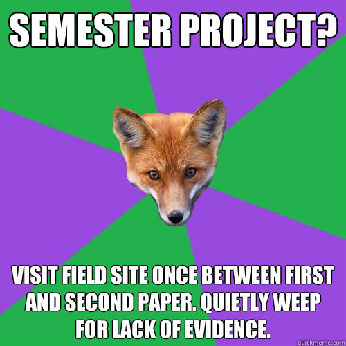 SEMESTER PROJECT?  VISIT FIELD SITE ONCE BETWEEN FIRST AND SECOND PAPER. QUIETLY WEEP FOR LACK OF EVIDENCE.  Anthropology Major Fox