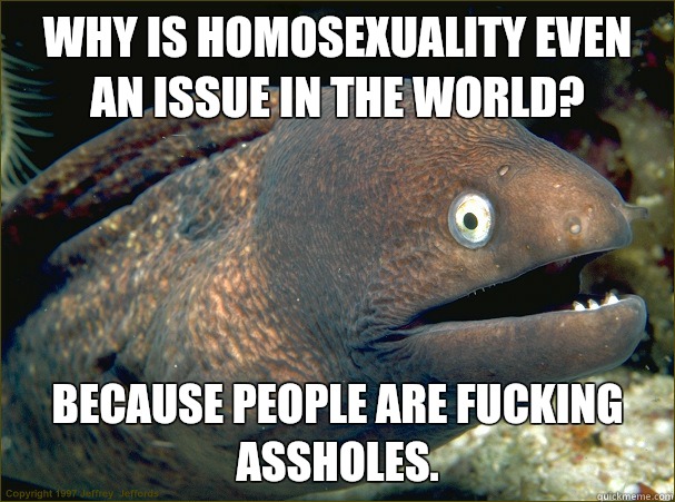 Why is homosexuality even an issue in the world? Because people are fucking assholes. - Why is homosexuality even an issue in the world? Because people are fucking assholes.  Bad Joke Eel