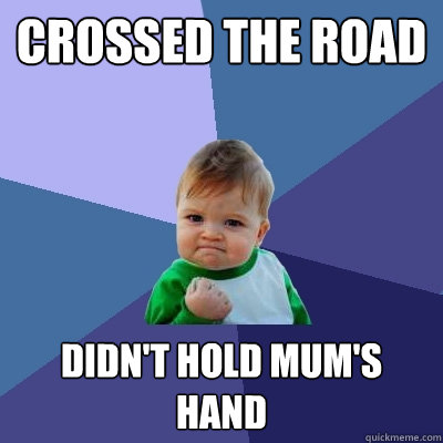 Crossed the road didn't hold mum's hand  Success Kid