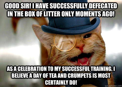 Good Sir! I have successfully defecated in the box of litter only moments ago! As a celebration to my successful training, I believe a day of Tea and Crumpets is most certainly do! - Good Sir! I have successfully defecated in the box of litter only moments ago! As a celebration to my successful training, I believe a day of Tea and Crumpets is most certainly do!  Misc