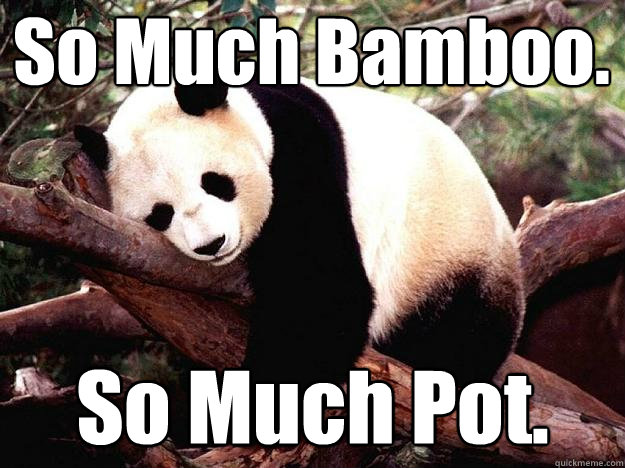 So Much Bamboo. So Much Pot.  Procrastination Panda