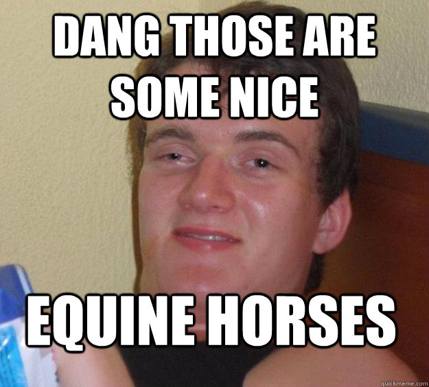 dang those are some nice equine horses  10 Guy