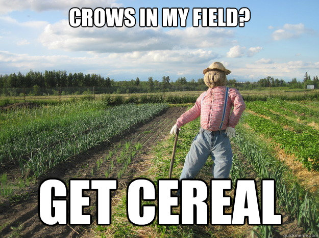 Crows in my field? Get cereal  Scarecrow