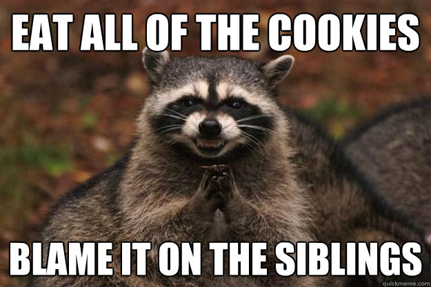 Eat ALL of the cookies Blame it on the siblings  Evil Plotting Raccoon