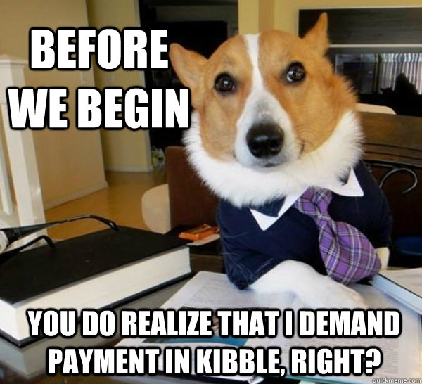 Before we begin You do realize that I demand payment in kibble, right?  Lawyer Dog