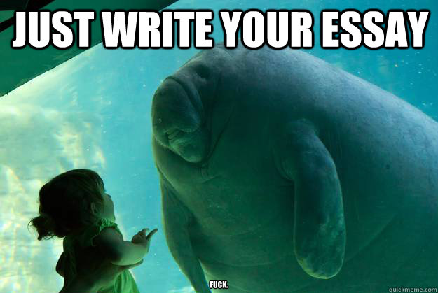 just write your essay FUCK.  Overlord Manatee