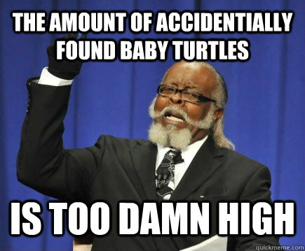 THE AMOUNT OF ACCIDENTIALLY FOUND BABY TURTLES IS TOO DAMN HIGH  Too Damn High