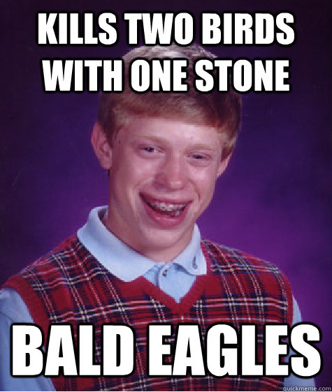 kills two birds with one stone bald eagles  Bad Luck Brian