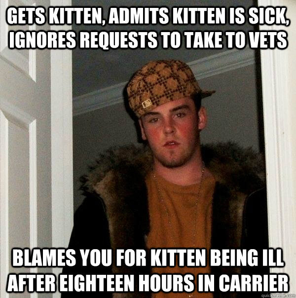 Gets kitten, admits kitten is sick, ignores requests to take to vets blames you for kitten being ill after eighteen hours in carrier   Scumbag Steve