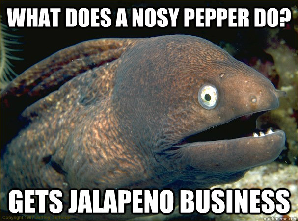 What does a nosy pepper do? gets jalapeno business - What does a nosy pepper do? gets jalapeno business  Bad Joke Eel