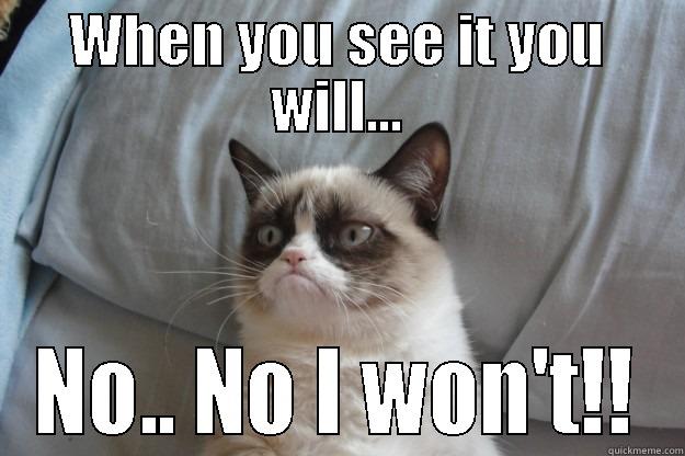 WHEN YOU SEE IT YOU WILL... NO.. NO I WON'T!! Grumpy Cat