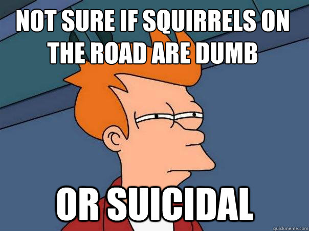 Not sure if squirrels on the road are dumb or suicidal  Futurama Fry