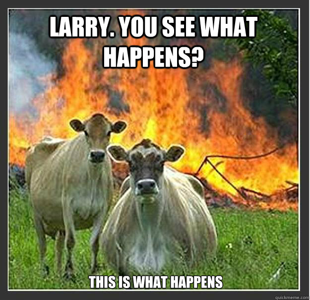 Larry. you see what happens? this is what happens  Evil cows