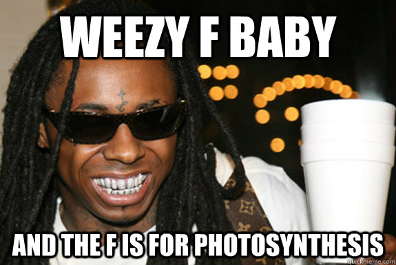 Weezy f baby and the f is for photosynthesis - Weezy f baby and the f is for photosynthesis  Wheezy F Baby