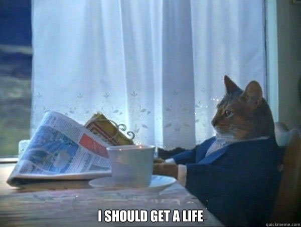  i should get a life -  i should get a life  morning realization newspaper cat meme