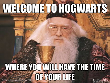 Welcome to Hogwarts where you will have the time of your life   Drew Dumbledore