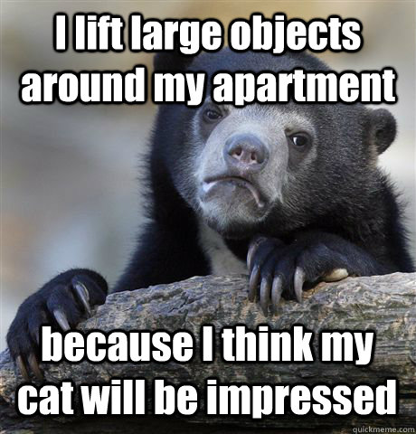 I lift large objects around my apartment because I think my cat will be impressed - I lift large objects around my apartment because I think my cat will be impressed  Confession Bear